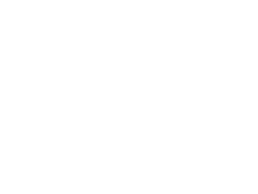 DLR